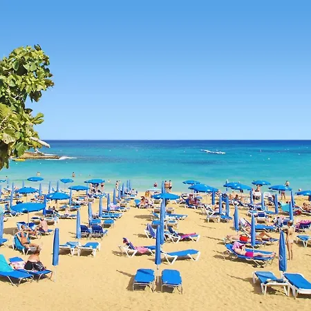 Michaella - 500m From Golden